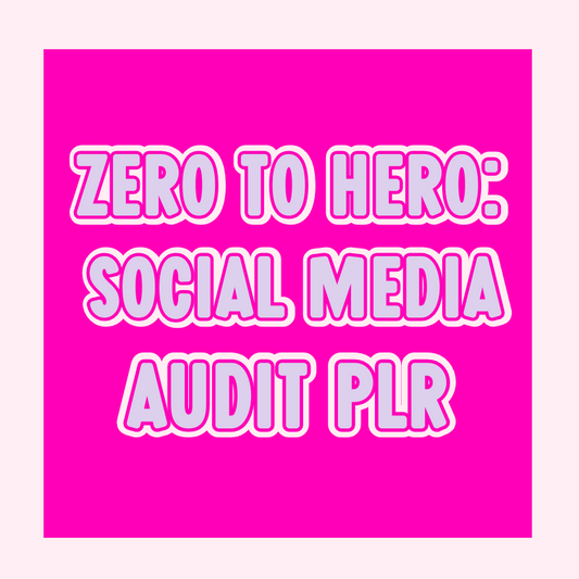 Zero to Hero: Your Social Media Audit PLR